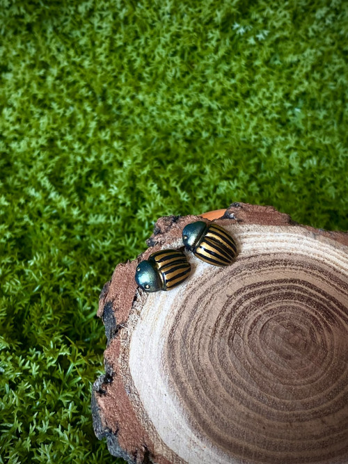 Beetles