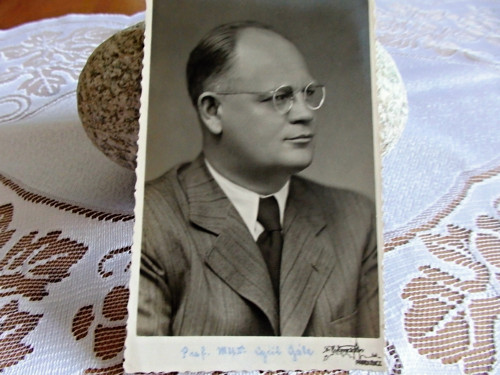 Profesor — foto 1