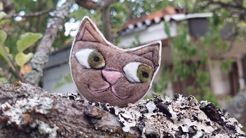 Kočka
