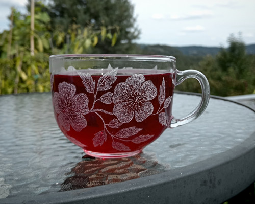 Šípková růže