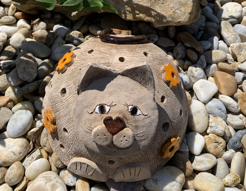 Kočička
