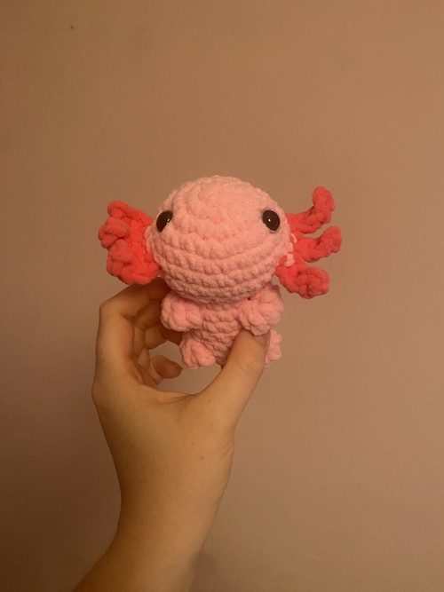 Háčkovaný axolotl