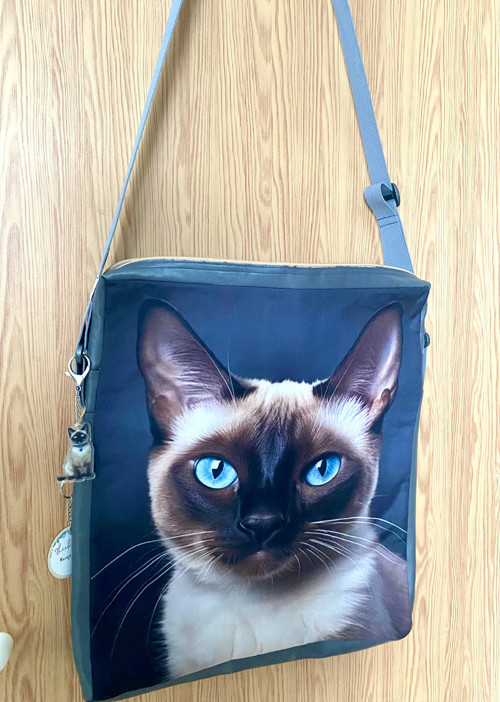 TAŠKA RAGDOLL na notebook
