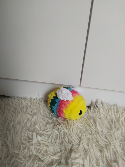 Rainbow bee
