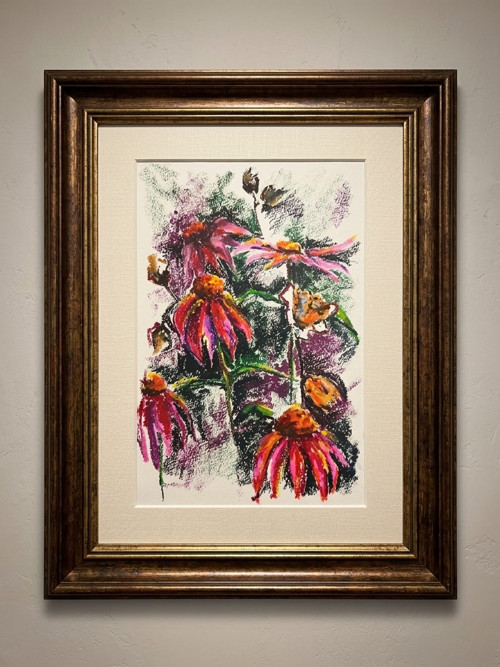 Ilustrace Echinacea 4