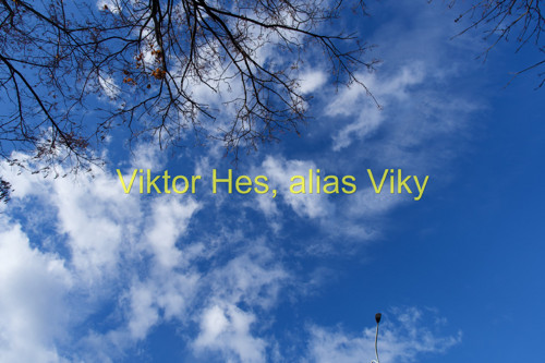 Nebesa a větve