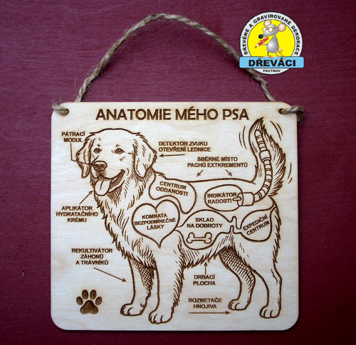 Cedulka ANATOMIE MÉHO PSA.... KV0372 J