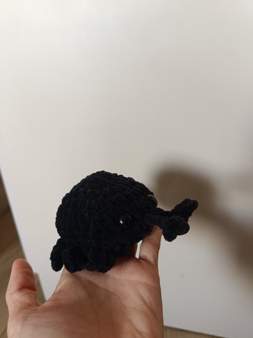 Háčkovaný Coconut rhinoceros beetle