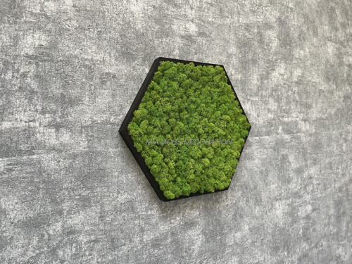 MECHOVÝ OBRAZ – hexagon 31x31cm sobí mech
