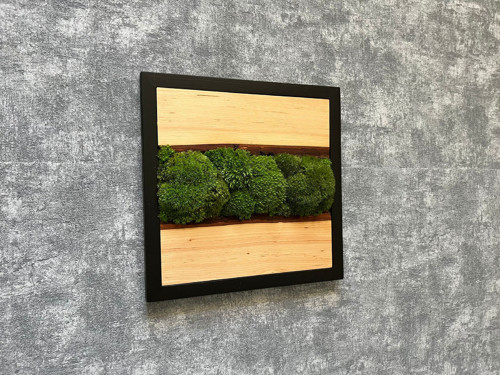 Mechový obraz 30x30cm