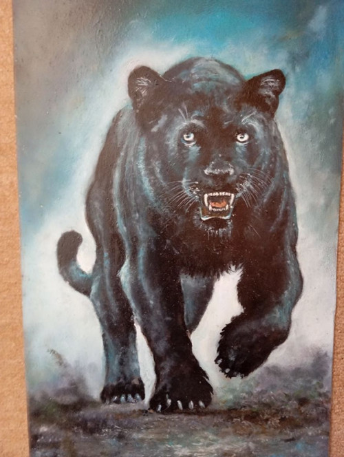 Černý panter
