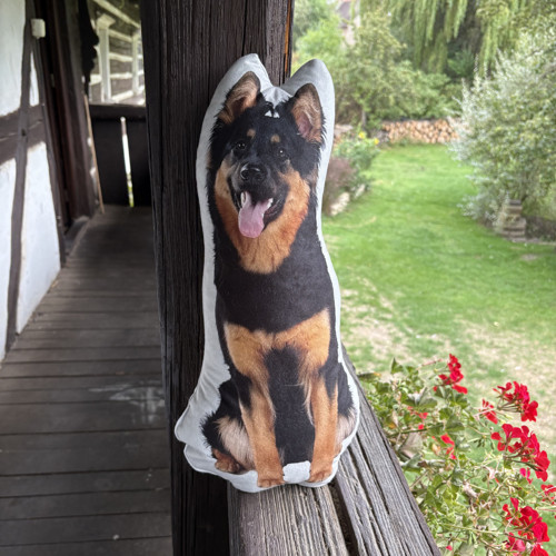 Polštář 3D - ovčák, vlčák