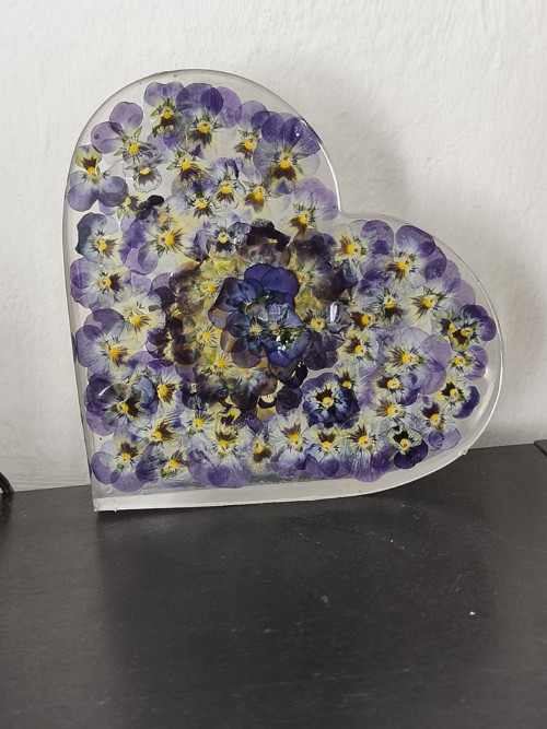 Srdce z violek