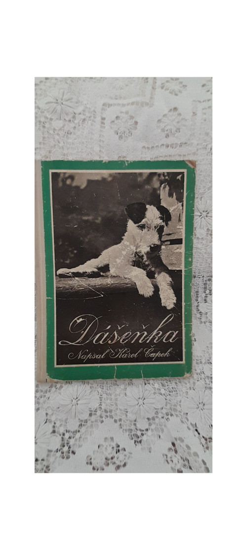 Dášeňka