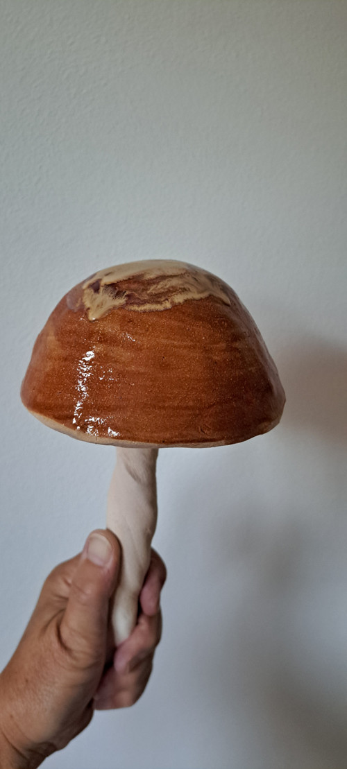 Hřib hnědý veliký-kulatý klobouček