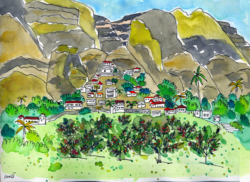 Kávová farma na Gran Canaria