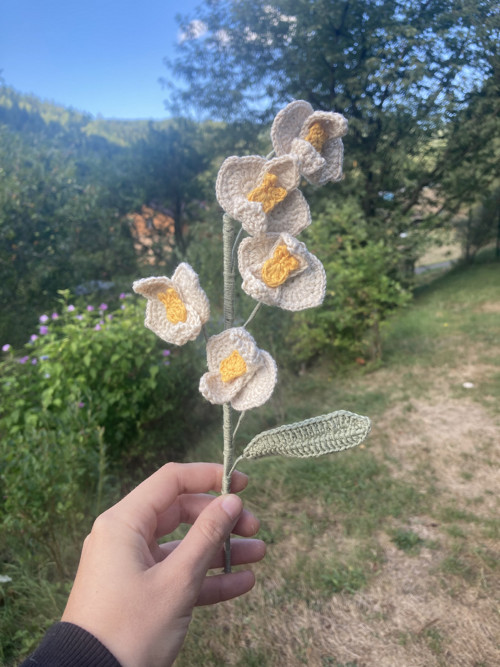 Jedna bílá orchidej - háčkovaná