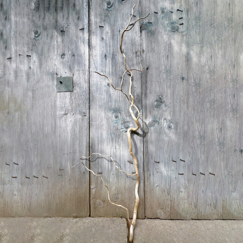 134x45 cm Příroda domu kroucená větev odkorněná