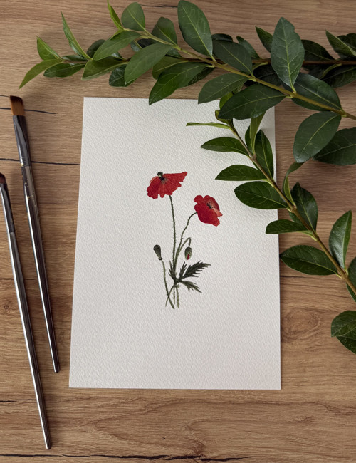 Mák vlčí - akvarel, ilustrace A5