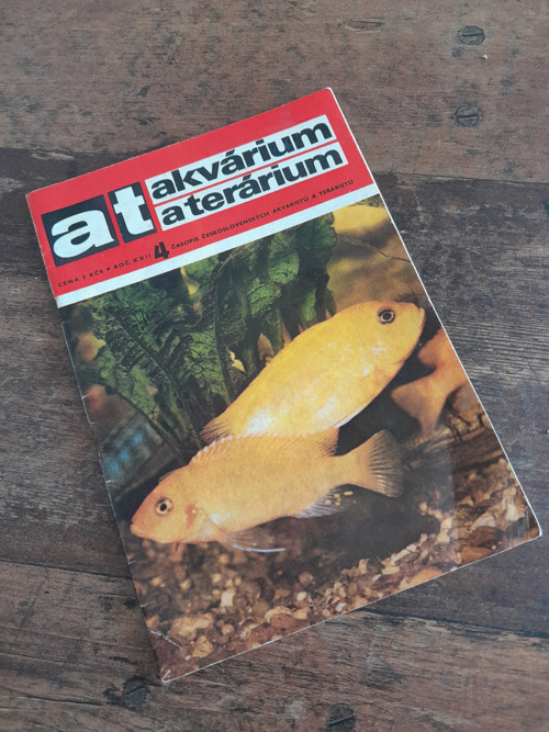 Akvárium a terárium