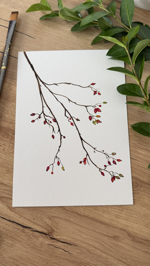 Šípek - akvarel, ilustrace A5