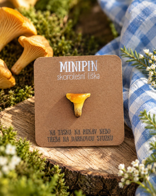 Skorolesní liška | minipin houba