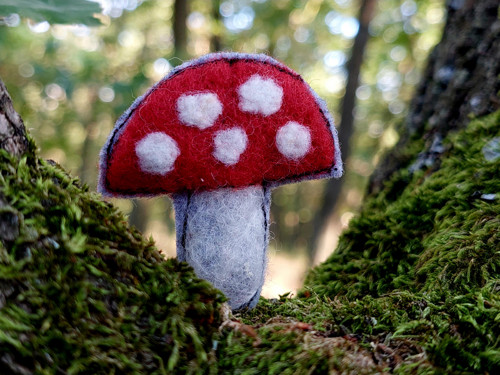 Muchomůrka...