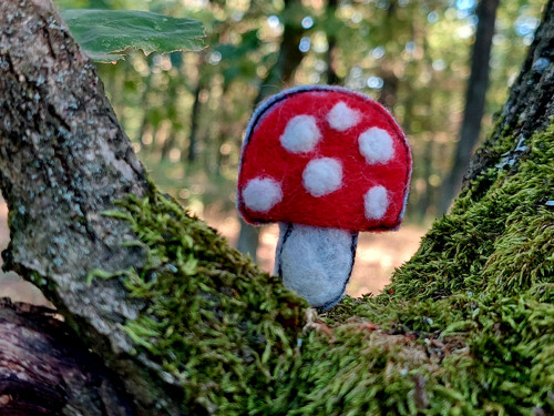Muchomůrka...
