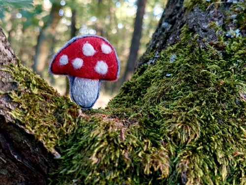 Muchomůrka...