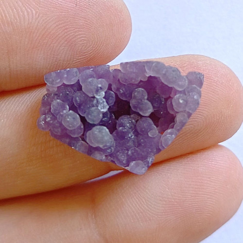 Grape chacedon č.1