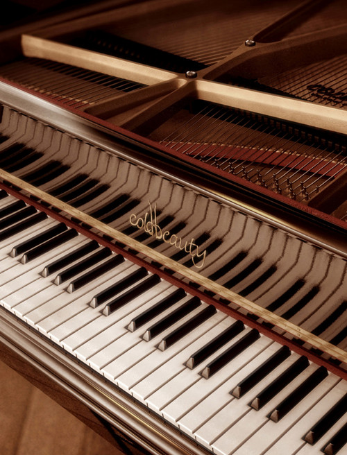Panel z kočárkoviny 21x16 cm: Piano - klavír