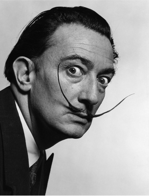 Panel z kočárkoviny 21x16 cm: Salvador Dalí