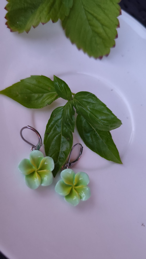 Náušnice-mint kvítky-chirurgická ocel-zapínací