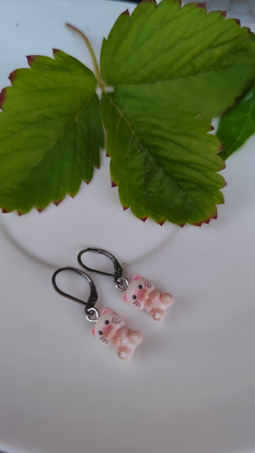 Náušnice-mini kočičky-chirurgická ocel-zapínací