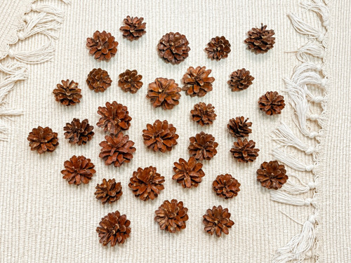 Přírodní borovicové šišky – mix velikostí | 30 ks