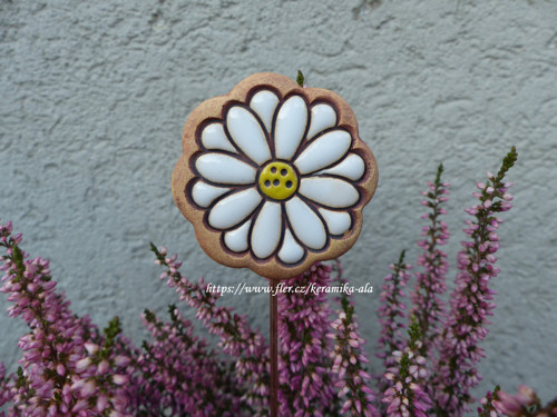 Zápich kopretina / SKLADEM