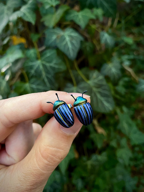 Beetles — foto 1