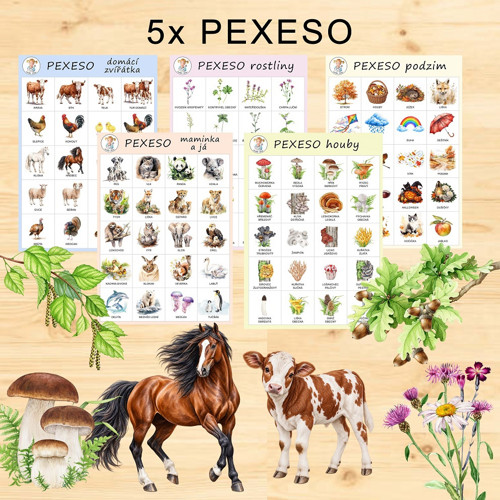 5x PEXESO v PDF