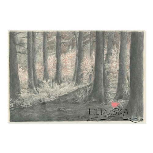 Lesem – signovaný tisk, 30 × 20 cm