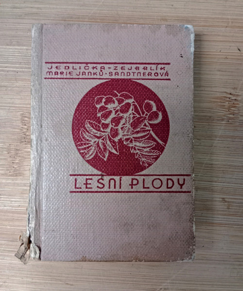 Lesní plody : Jejich sběr a zužitkování