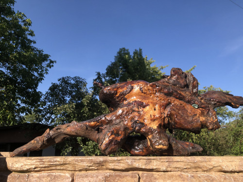Originální Dekorace - Samorost - Triceratops-Dárek
