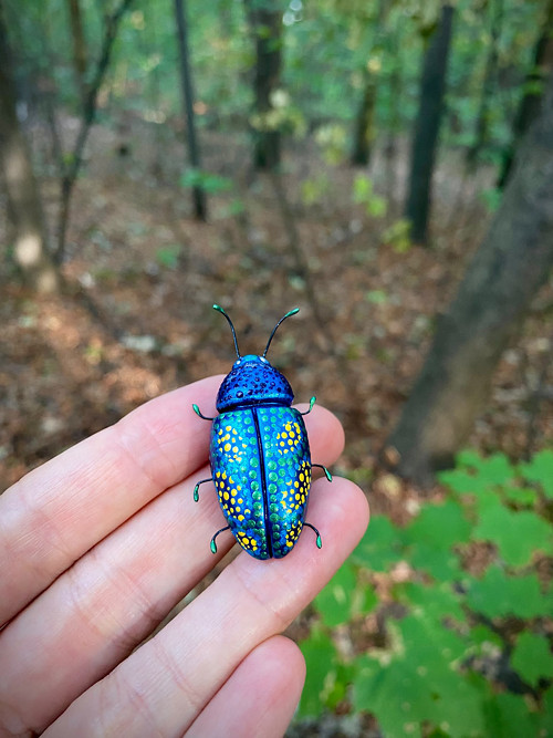 Beetle