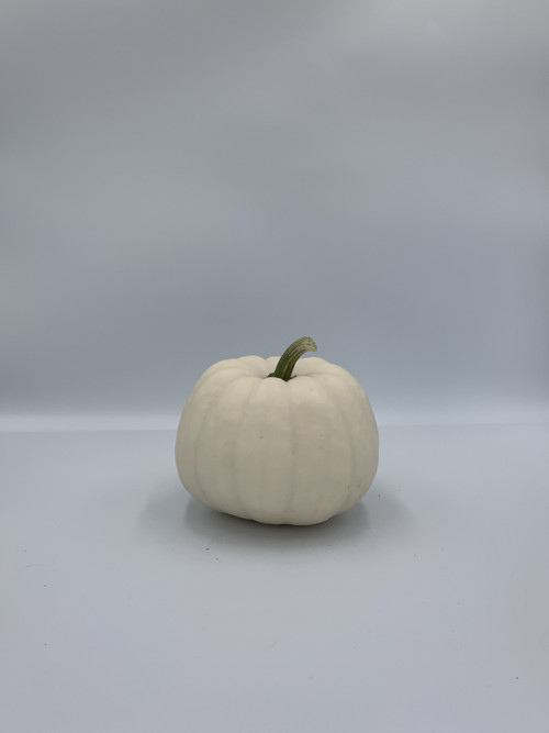 Bílá dekorativní dýně – mini Halloween / podzimní