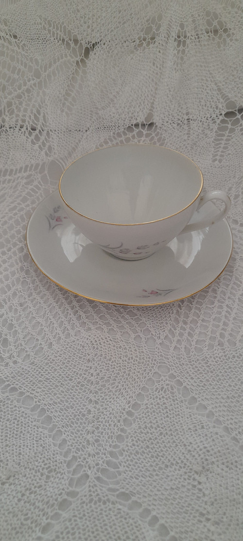 Jemnost porcelánová