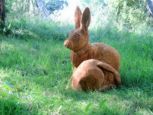 Toulky přírodou, Zajíc 60cm