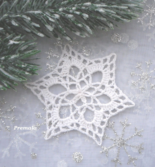 Hvězdička šesticípá bílá — foto 1