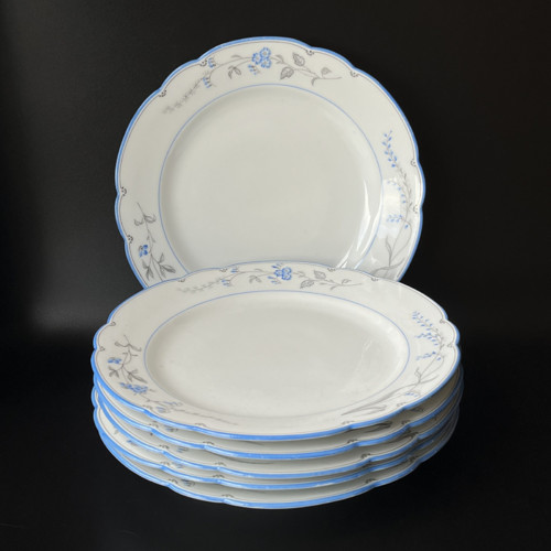6x talíř 25 cm, 19. stoleti Slavkov Schlaggenwald