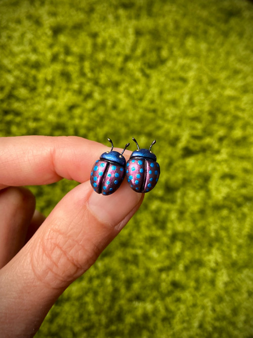 Beetles