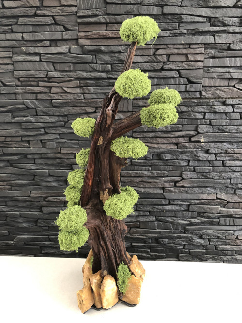 Přírodní Samorost-Mechová Bonsaj-Originální Dárek