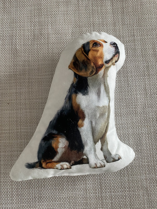 Minipolštářek 3D s pískátkem - Bígl